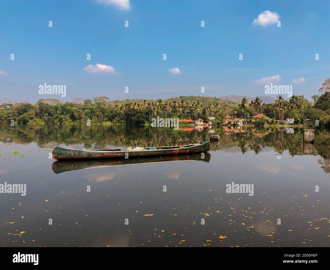 Una canoa galleggiante libero nel fiume periyar e circondato da lussureggiante foresta verde, a Thattekad, nello stato indiano meridionale del Kerala. Foto Stock