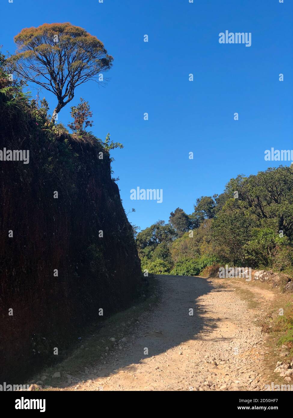 Un piccolo sentiero che è stato illuminato per metà dalla luce solare e per metà coperto nelle ombre di un muro. Foto Stock