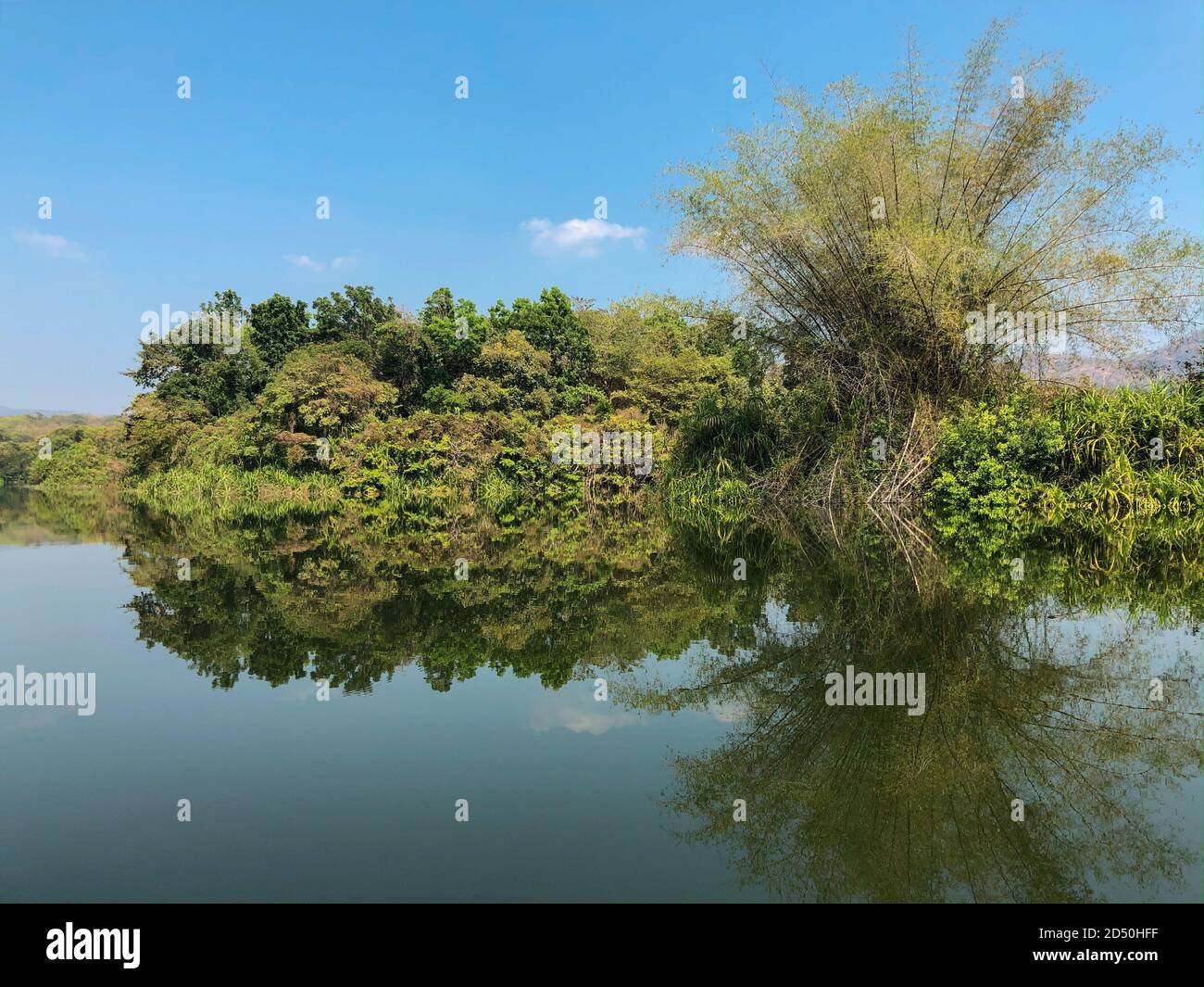 Un bel riflesso della vegetazione sulle rive, nelle acque ancora del fiume Periyar a Thattekad in Kerala, India. Foto Stock