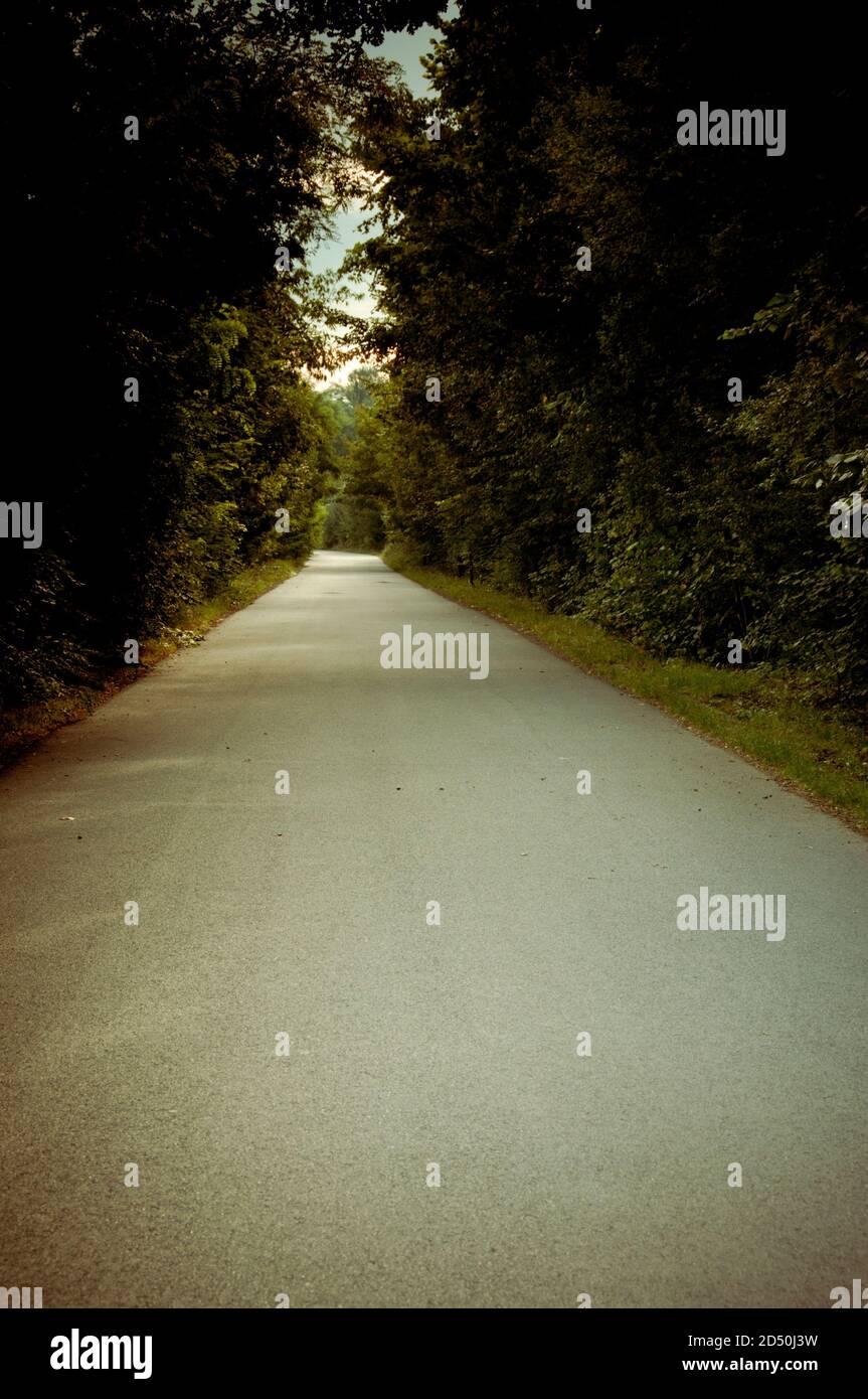 vuota strada scura fiancheggiata da alberi Foto Stock