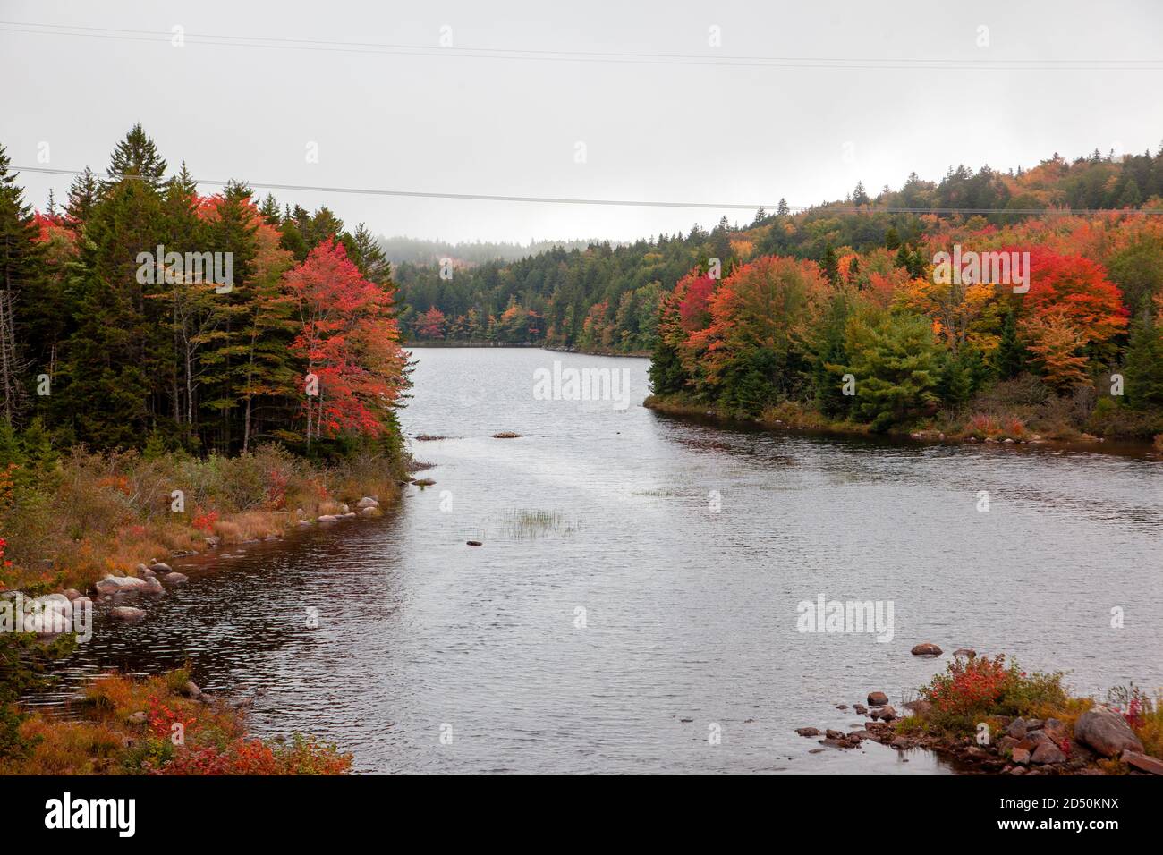 Belle foglie rosse, arancioni e gialle che girano su alberi accanto ad un lago su un fiume Foto Stock