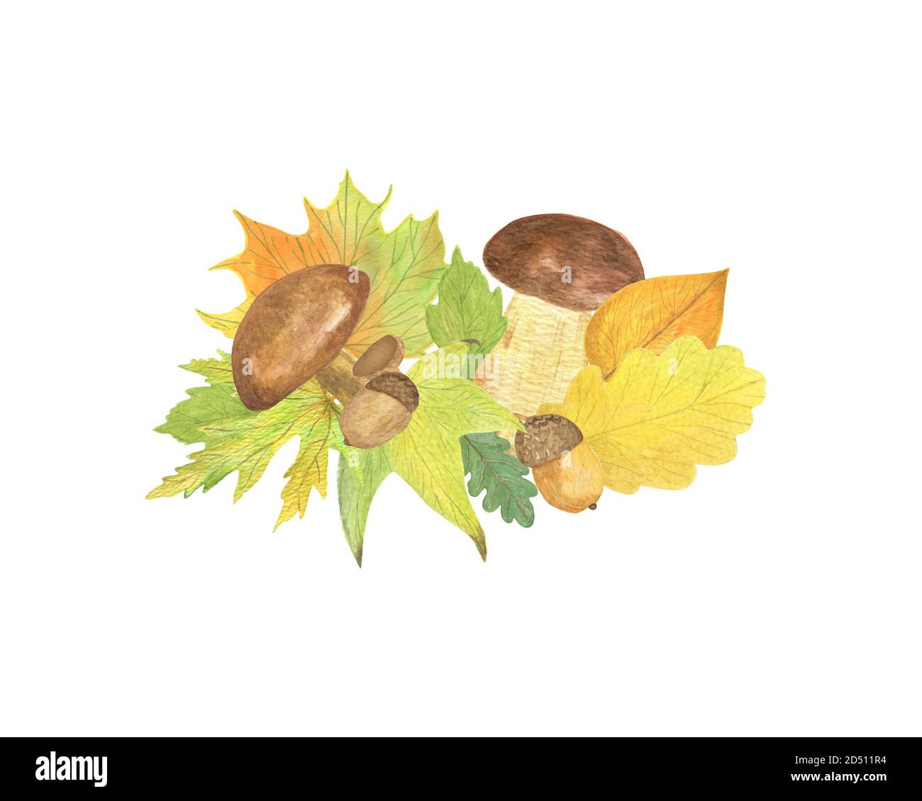 Arrangiamento di elementi autunnali con funghi, ghiande e foglie gialle feste stagionali autunno acquerello illustrazione floreale, composizione per Halloween e ringraziamento Foto Stock