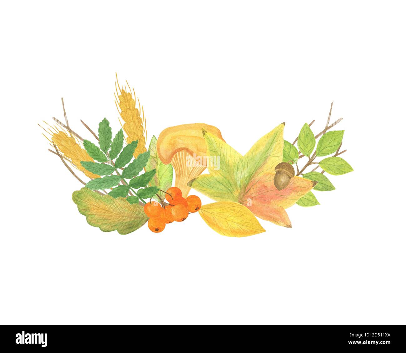 Arrangiamento di elementi autunnali con acorno, grano e foglie gialle feste stagionali autunno acquerello illustrazione floreale, composizione per Halloween e ringraziamento Foto Stock