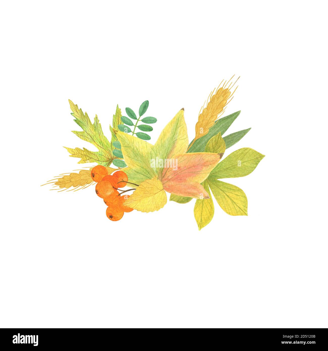 Arrangiamento di elementi autunnali con bacche di frassino, grano e foglie gialle vacanze stagionali autunno acquerello illustrazione floreale, composizione per Halloween e ringraziamento Foto Stock