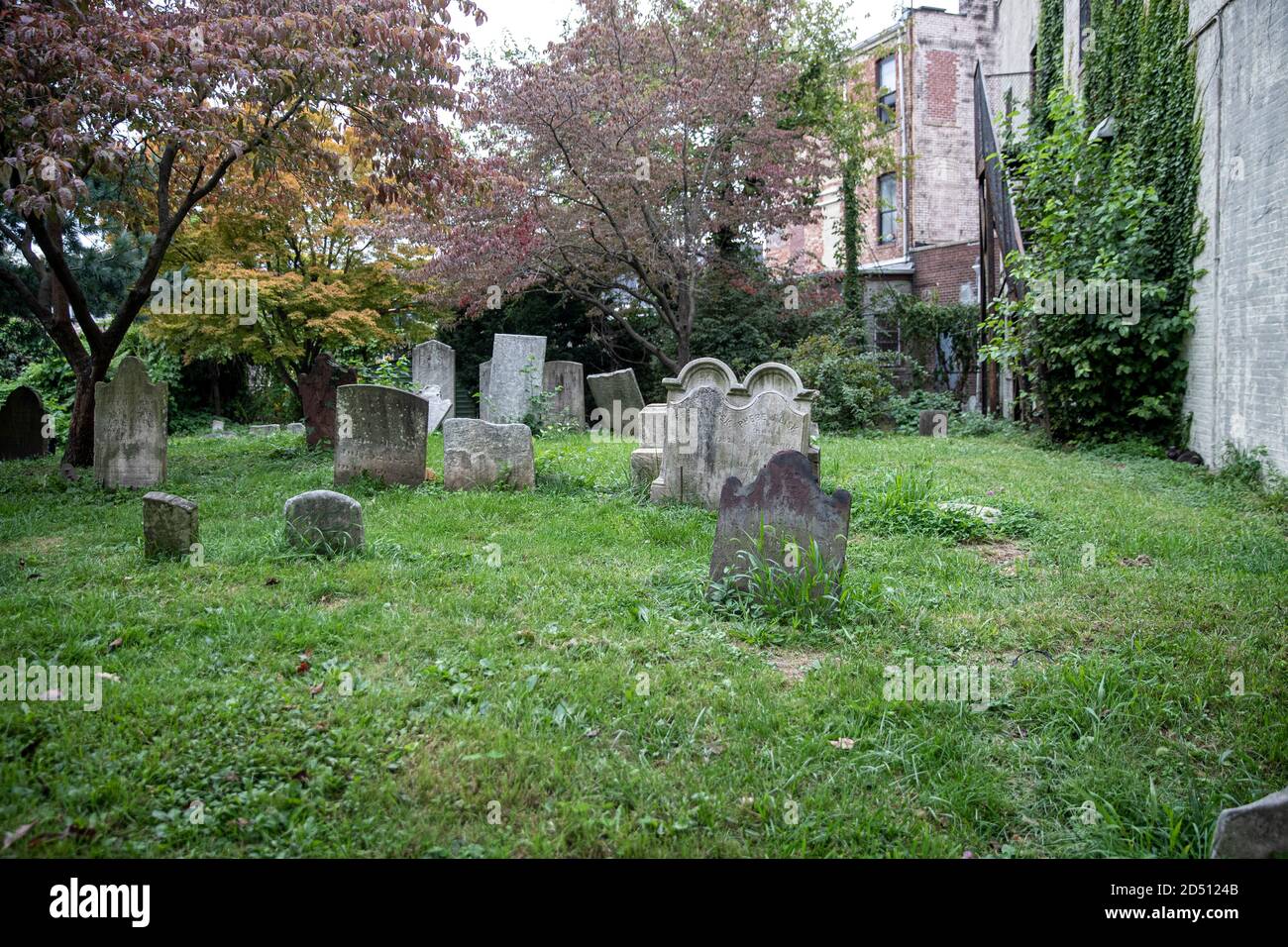 Un gatto nero ha trovato una casa nell'erba tra le pietre fresche nel cimitero della chiesa riformata olandese nella sezione Port Richmond dell'isola di Staten, Foto Stock