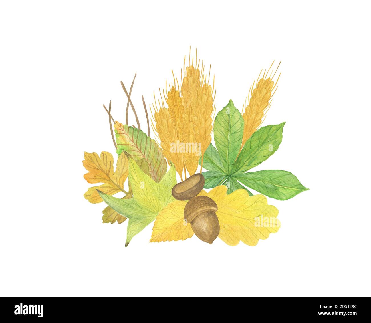 Arrangiamento di elementi autunnali con ghiande, grano e foglie gialle vacanze stagionali autunno acquerello illustrazione floreale, composizione per Halloween e ringraziamento Foto Stock