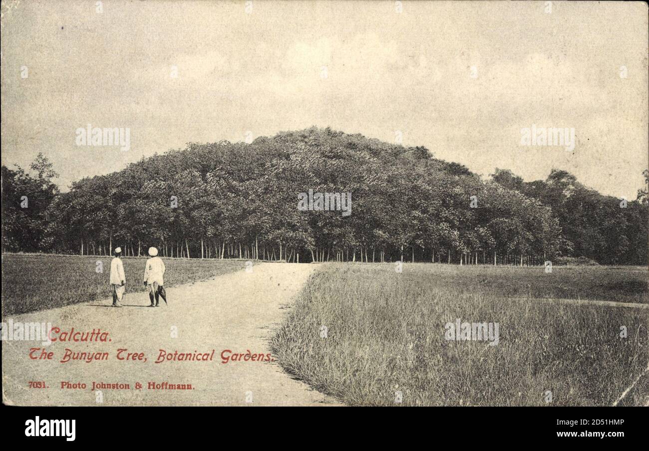 Kalkutta Indien, l'albero di Bunyan, Giardini Botanici | utilizzo in tutto il mondo Foto Stock