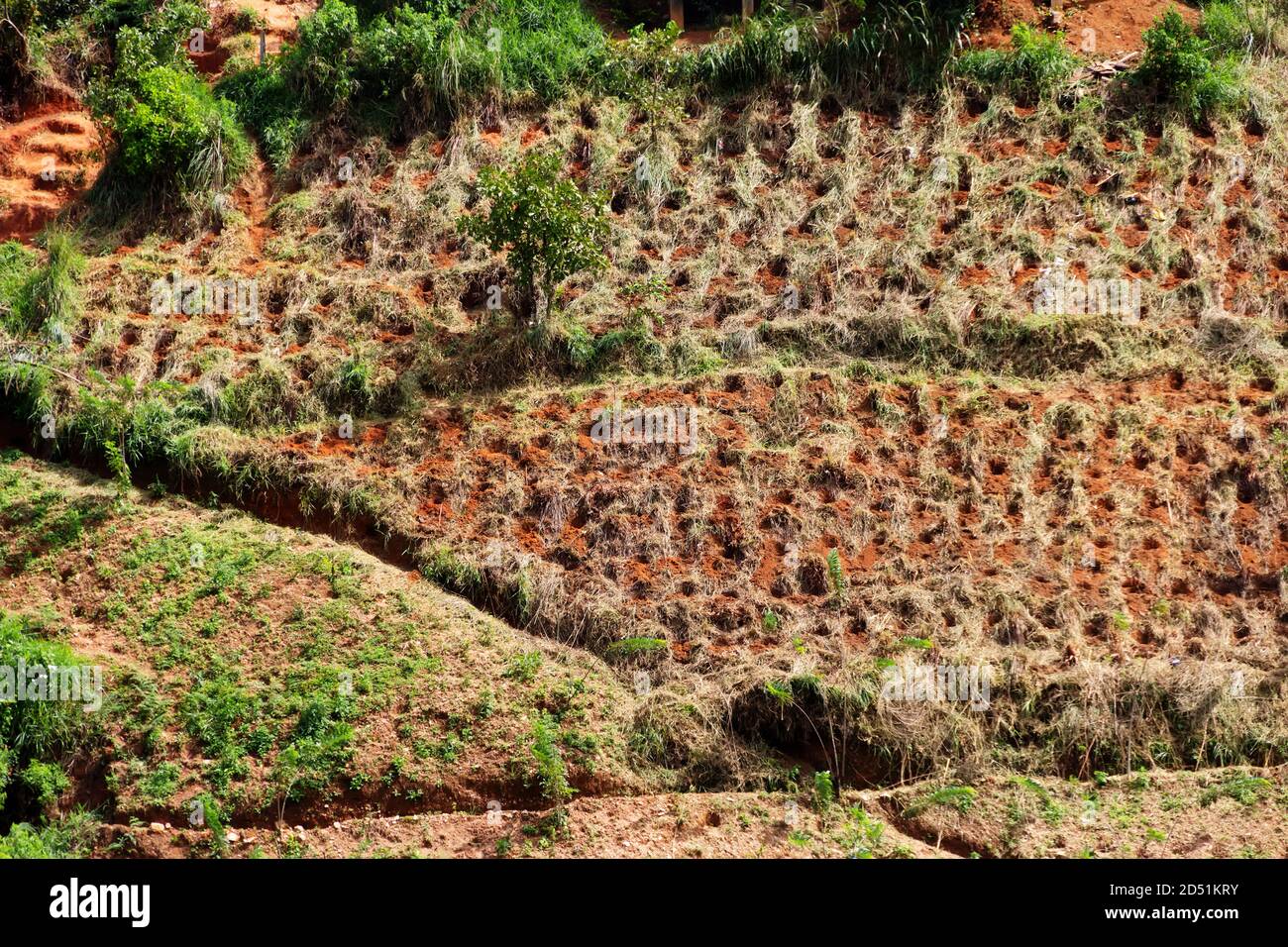 Campo sulla montagna sinistra da agricoltori (campo trascurato) a causa di esaurire l'acqua, pascoli depositi. Asia meridionale Foto Stock