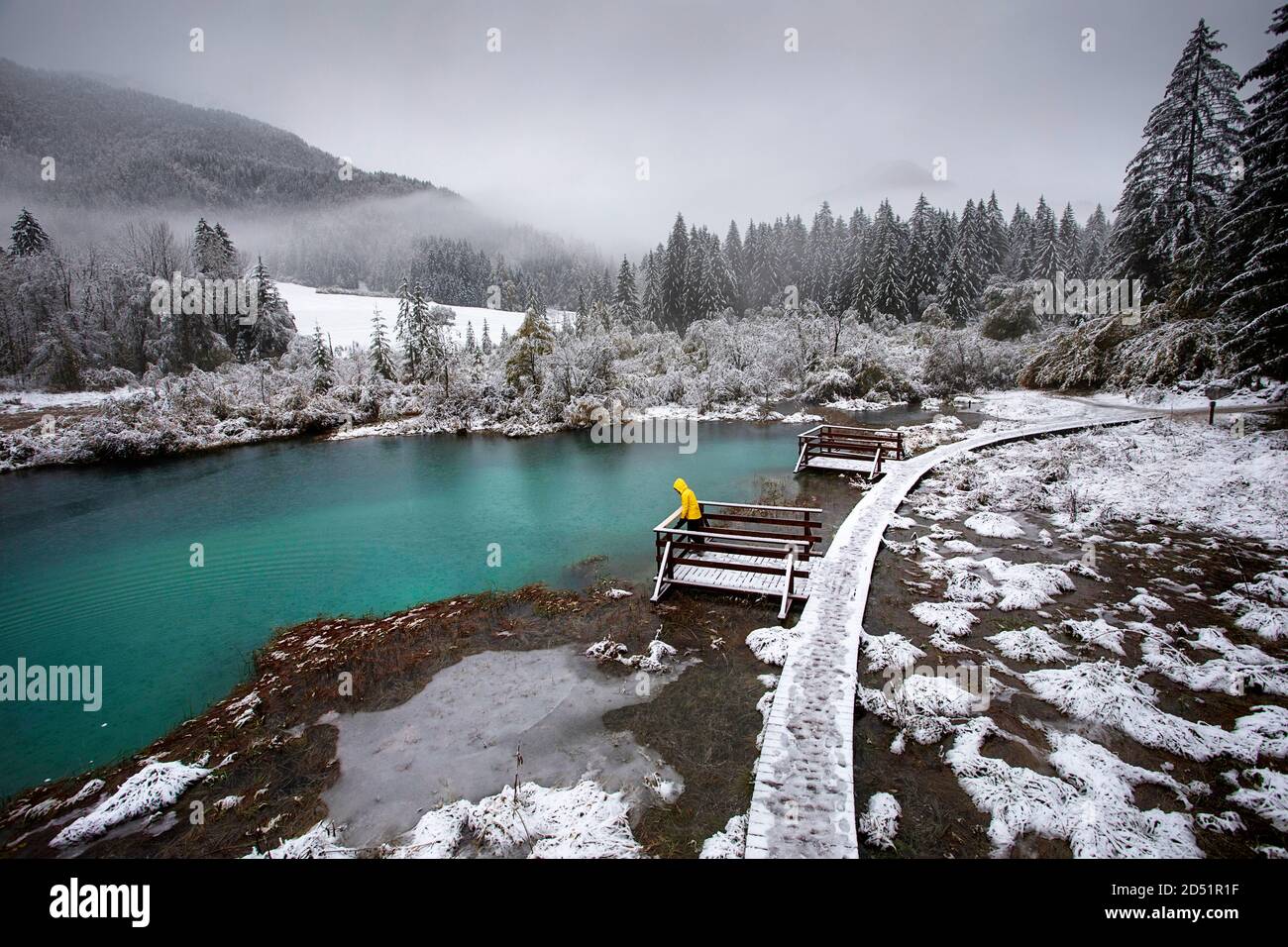Donna in giacca gialla nella riserva naturale di Zelenci quando cade la prima neve della stagione, Slovenia Foto Stock