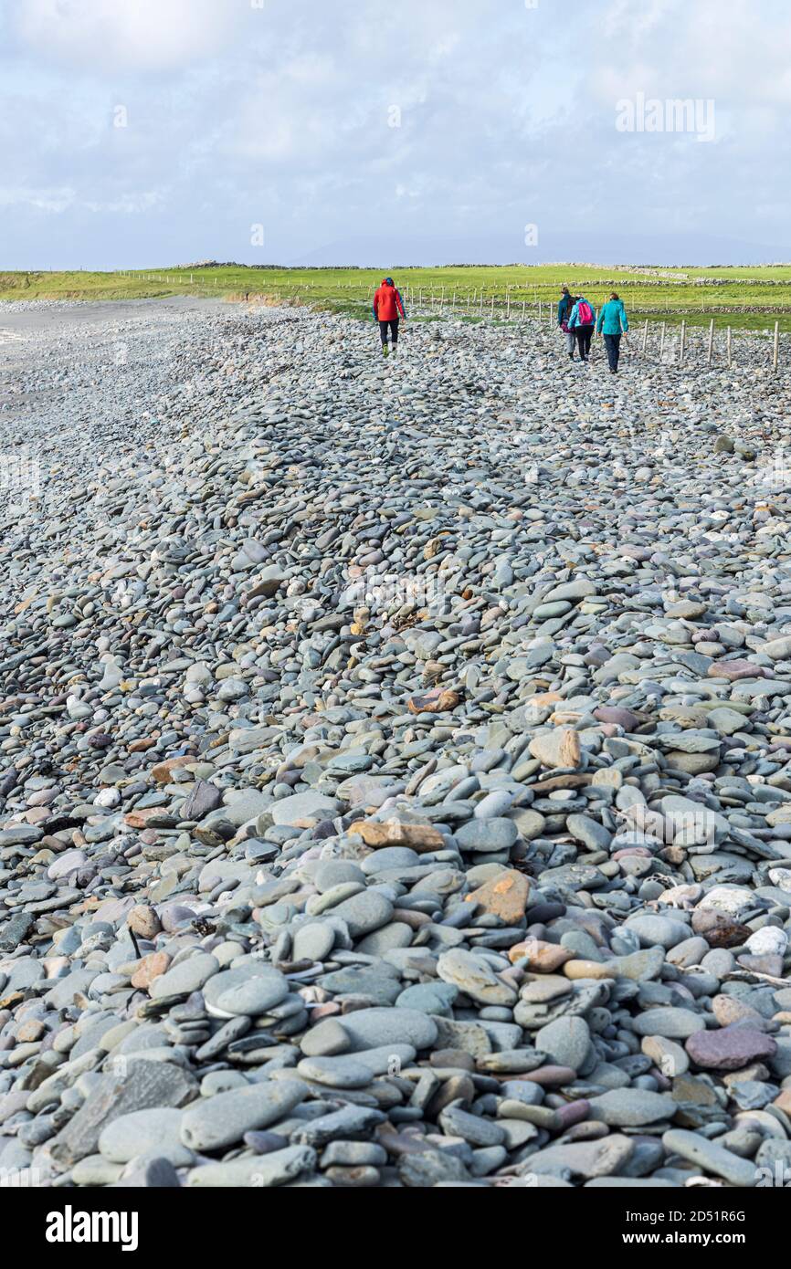 Camminando sulla spiaggia di pietra di Killadoon in forte vento lungo il circuito di Killeen passeggiate vicino Louisburgh, County Mayo, Irlanda Foto Stock