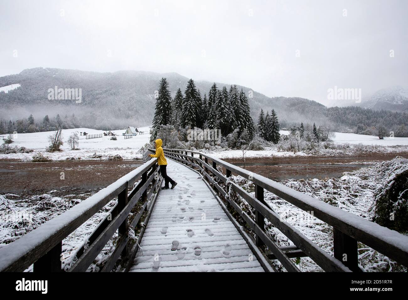 Donna in giacca gialla sul ponte della riserva naturale di Zelenci quando cade la prima neve della stagione, Slovenia Foto Stock