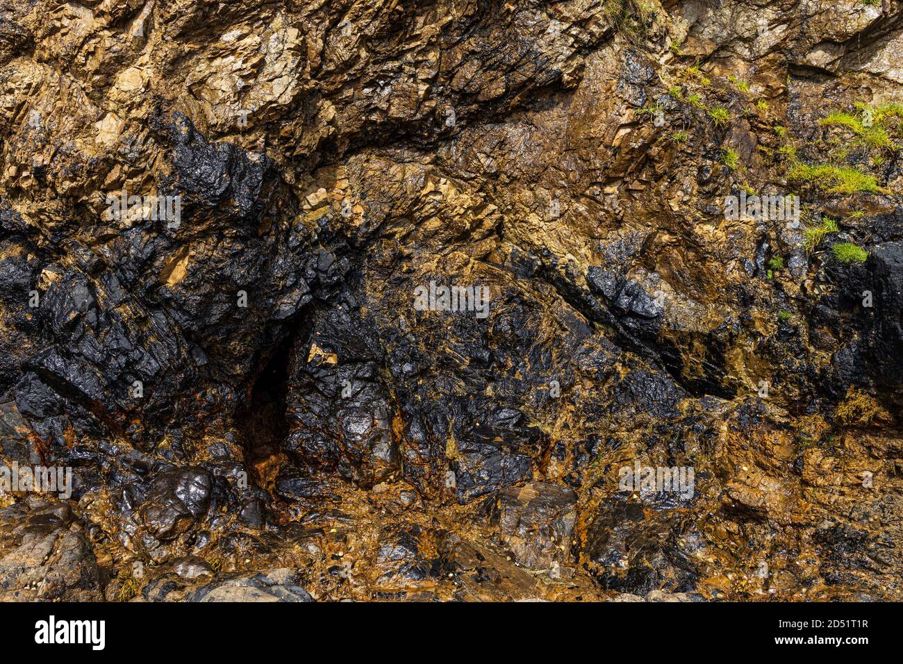 Wet Golden e nero parete di roccia colorata sulla spiaggia a Old Head, Louisburgh, County Mayo, Irlanda Foto Stock