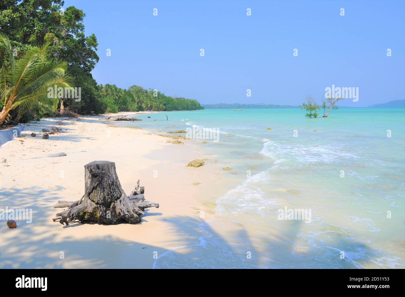 Spiaggia tipica delle Isole Andamane e Nicobar Foto Stock