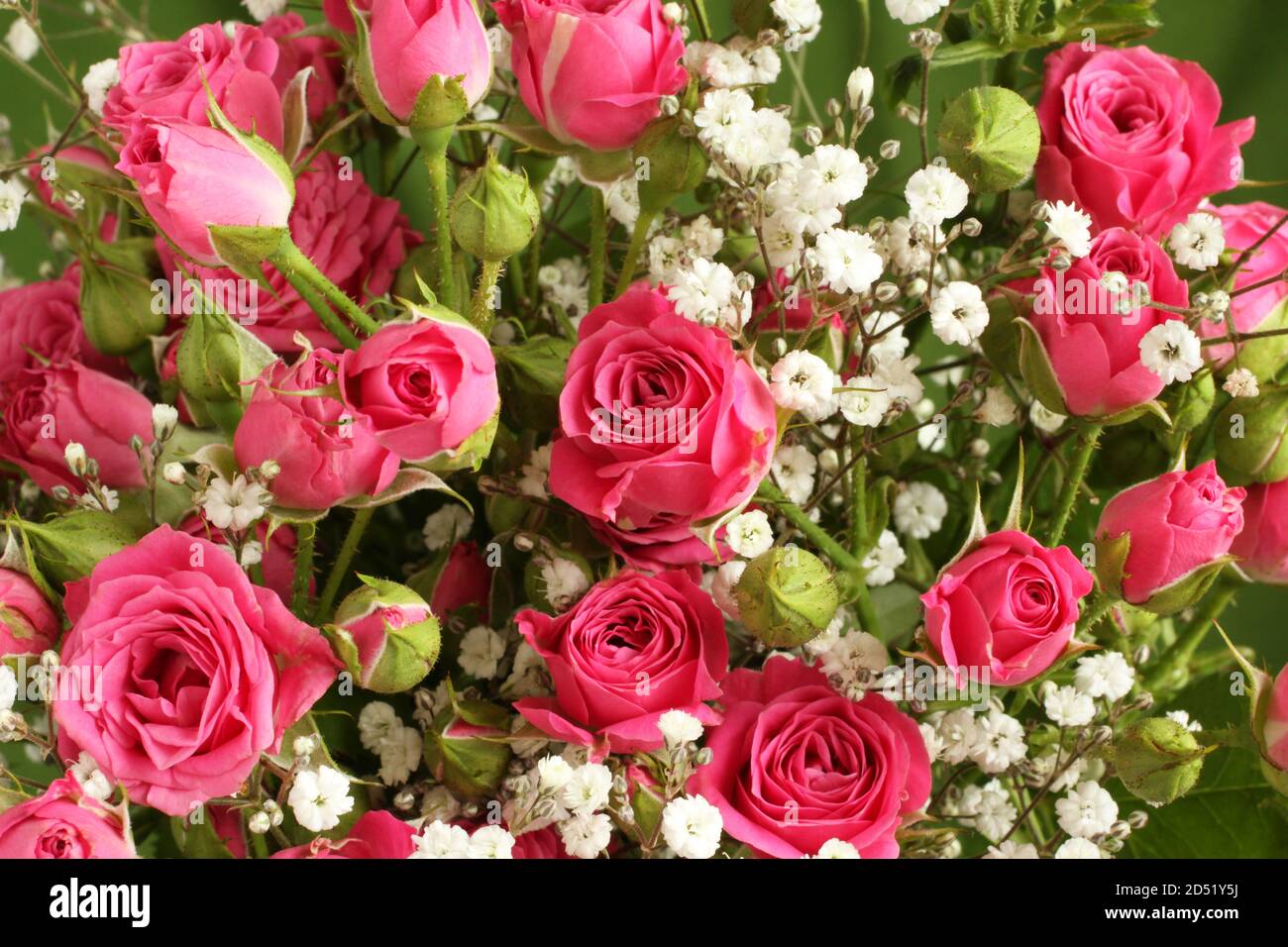 Bouquet di piccole rose rosa su sfondo verde. Primo piano Foto Stock