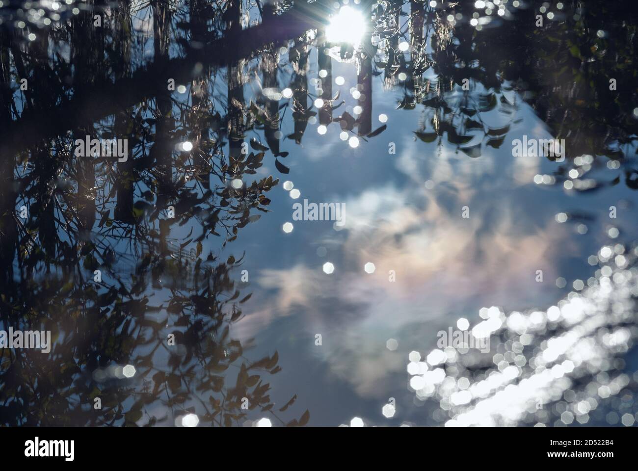 riflessione in pozzanghere di acqua - recinzione, alberi e cielo soleggiato dopo la pioggia Foto Stock