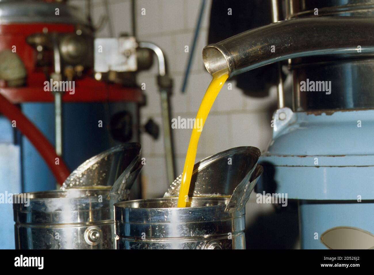 Prodotti italiani. L'olio extravergine grezzo dopo la spremitura delle olive viene separato dall'acqua per centrifugazione Foto Stock