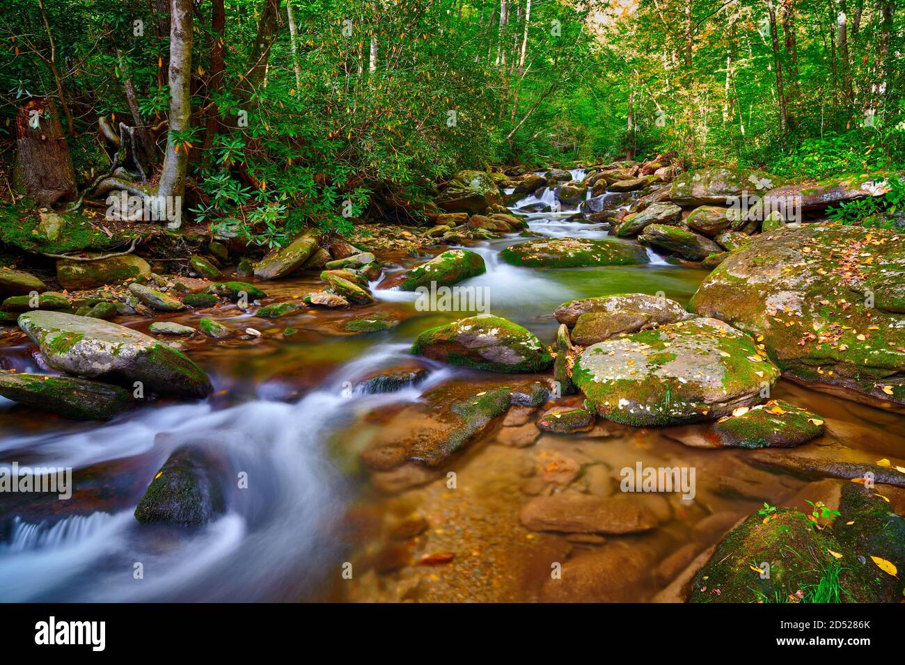 Curtis Creek vicino Curtis Creek Campground nei montians della Carolina del Nord. Foto Stock