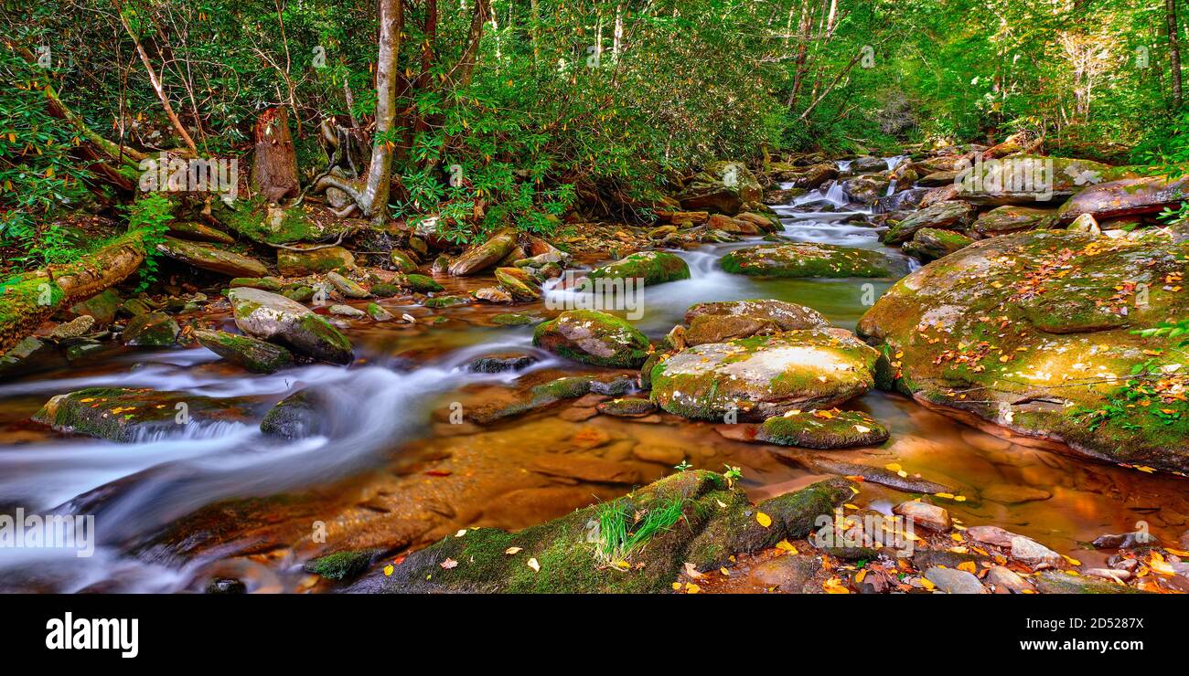 Curtis Creek vicino Curtis Creek Campground nei montians della Carolina del Nord. Foto Stock