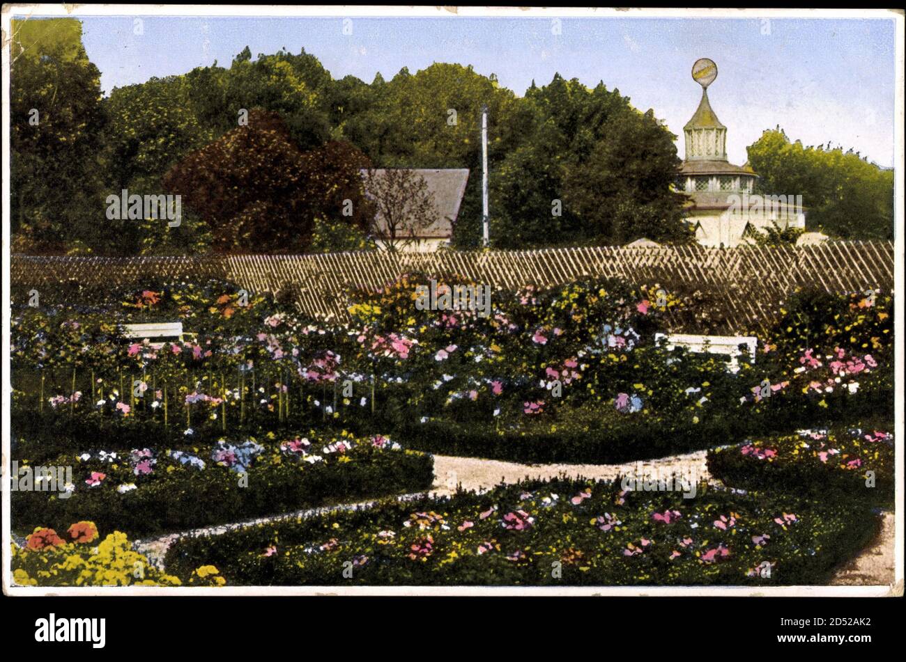 Ludwigshafen am Rhein, Rosenanlage im Ebertpark | utilizzo in tutto il mondo Foto Stock