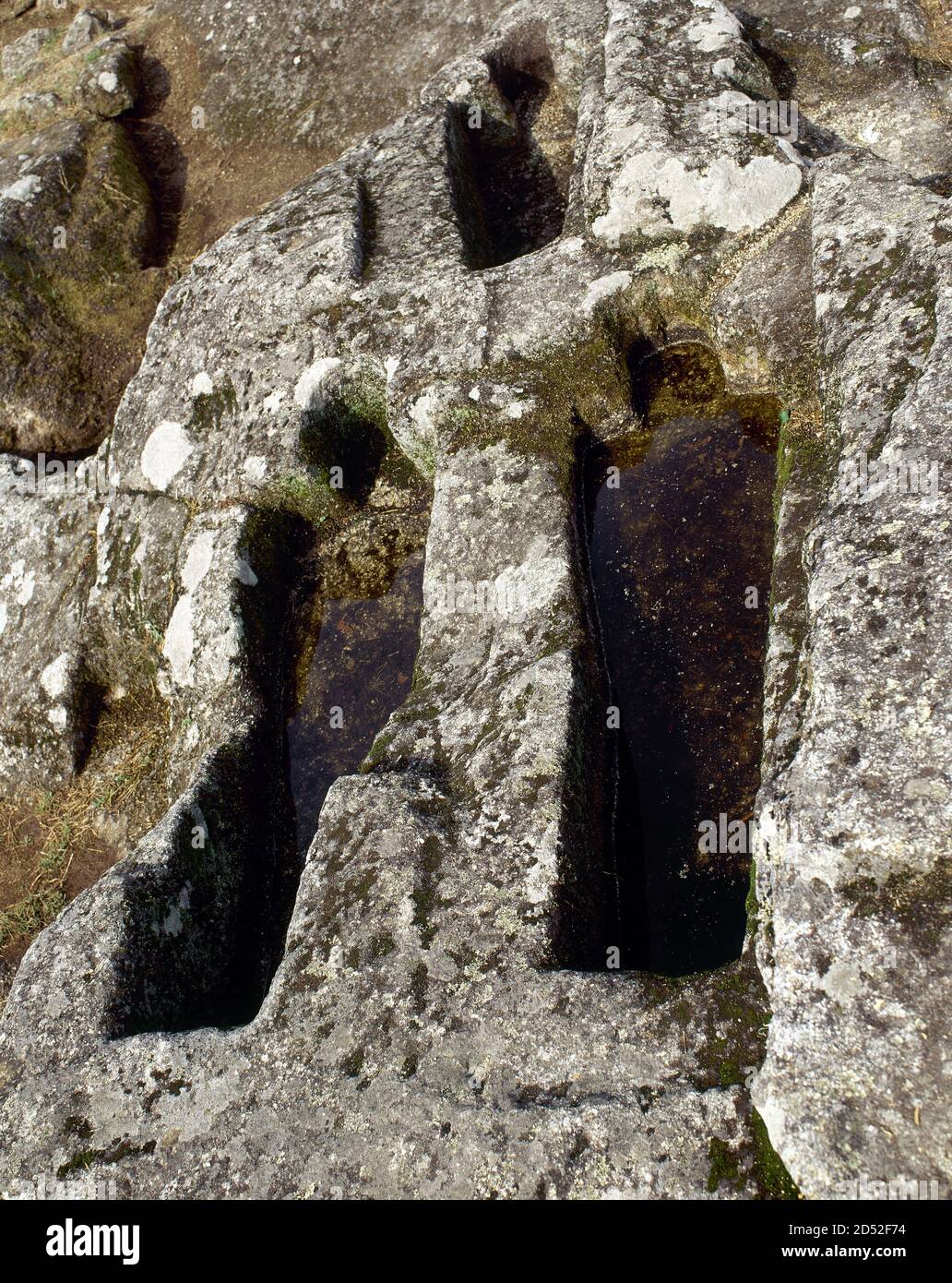 Spagna, Galizia, provincia di Ourense, Ribadavia. Necropoli dell'Alto Medioevo (VIII-IX secolo). Tombe antropomorfe, con teste a ferro di cavallo, scavate in pietra all'interno del castello di Sarmiento. L'esistenza di questa necropoli è dovuta alla scomparsa della chiesa di San Ginés, la più antica parrocchia del villaggio. Foto Stock