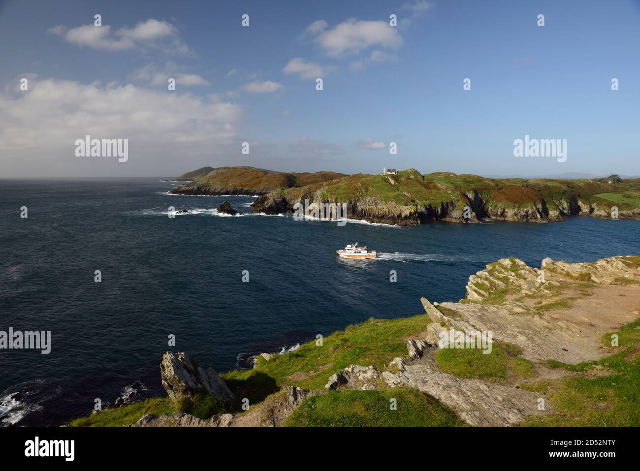 Isola di sherkin vista dal faro baltimora, sughero occidentale, costa, costa, oceano atlantico, RM Irlanda Foto Stock
