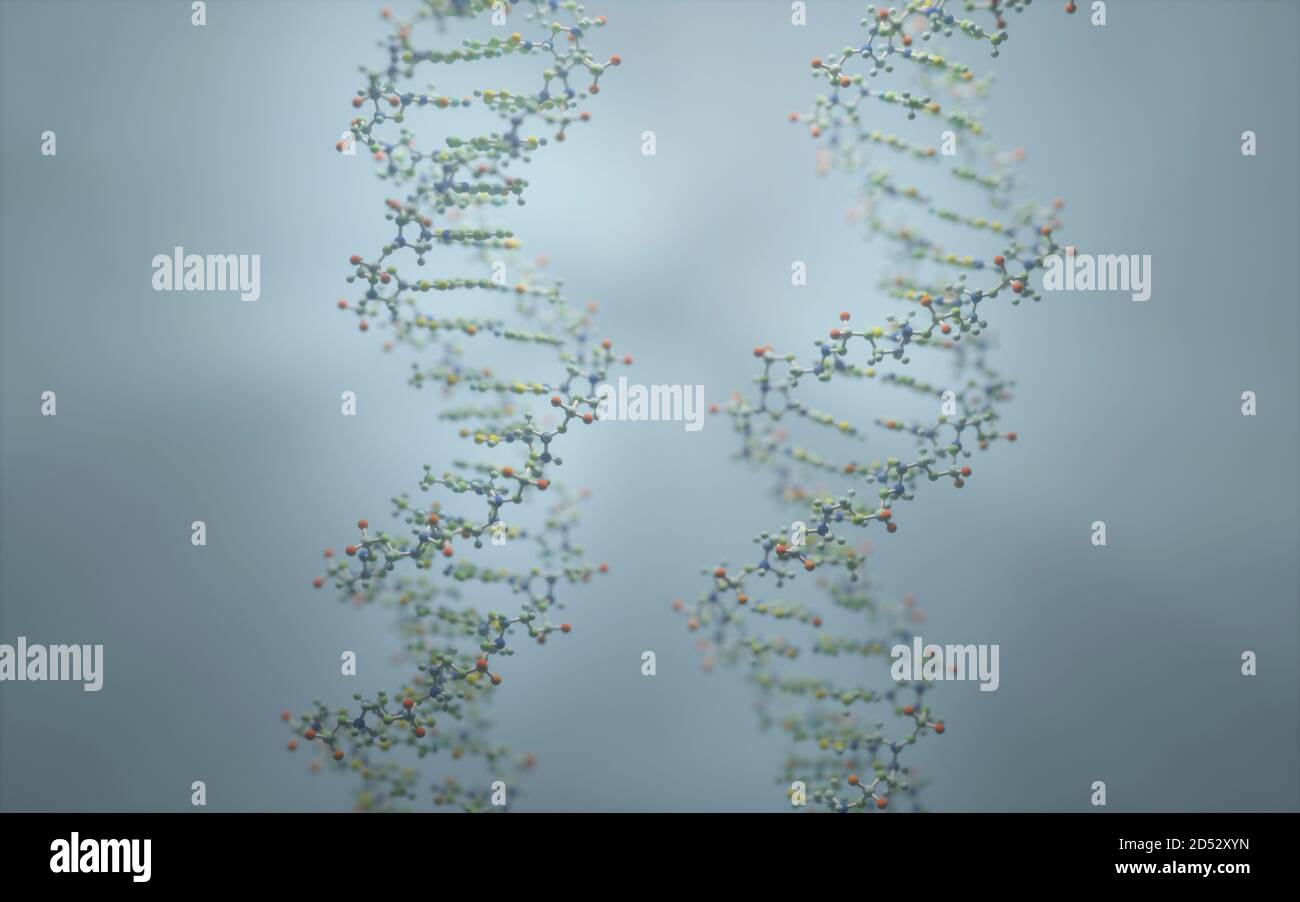 Il DNA è una molecola e una doppia elica che porta istruzioni genetiche per lo sviluppo, il funzionamento, la crescita e la riproduzione di tutti gli organismi noti. Foto Stock