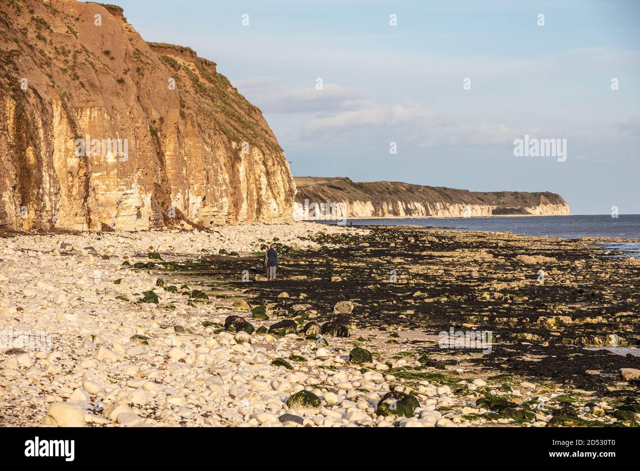 Flamborough Head sulla costa a nord di Humberside Foto Stock