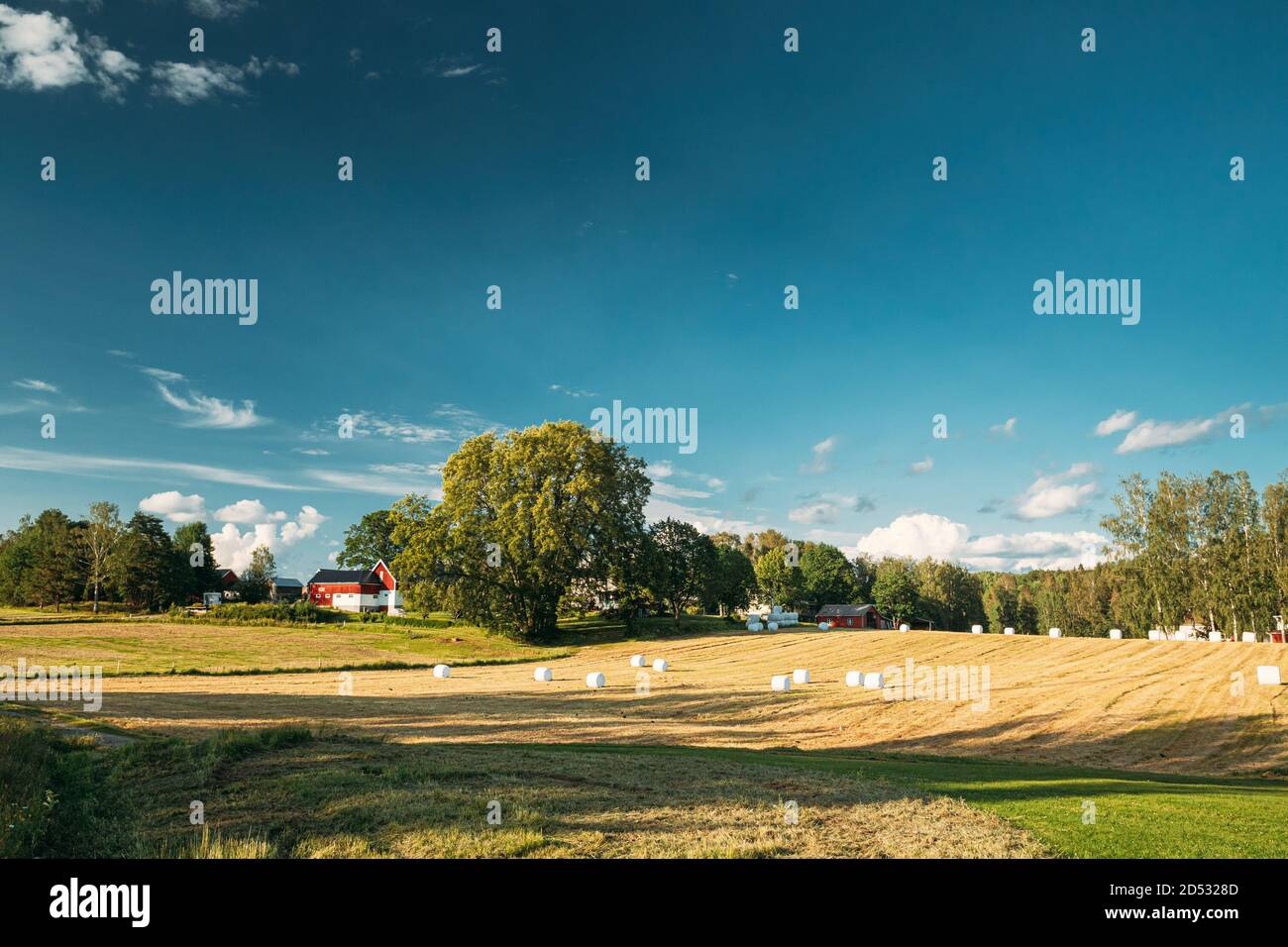 Terreno rurale svedese prato con balle di fieno secco durante la vendemmia in serata di sole. Terreno agricolo con granaio di fattoria rosso Foto Stock