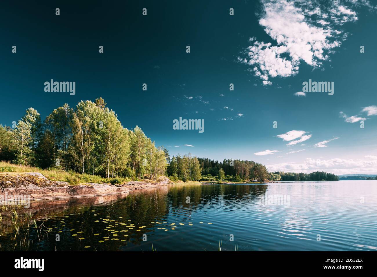 Natura svedese. Arjang SV, Tocksfors, Svezia. Estate Lago o fiume in bella estate Sunny Day Foto Stock