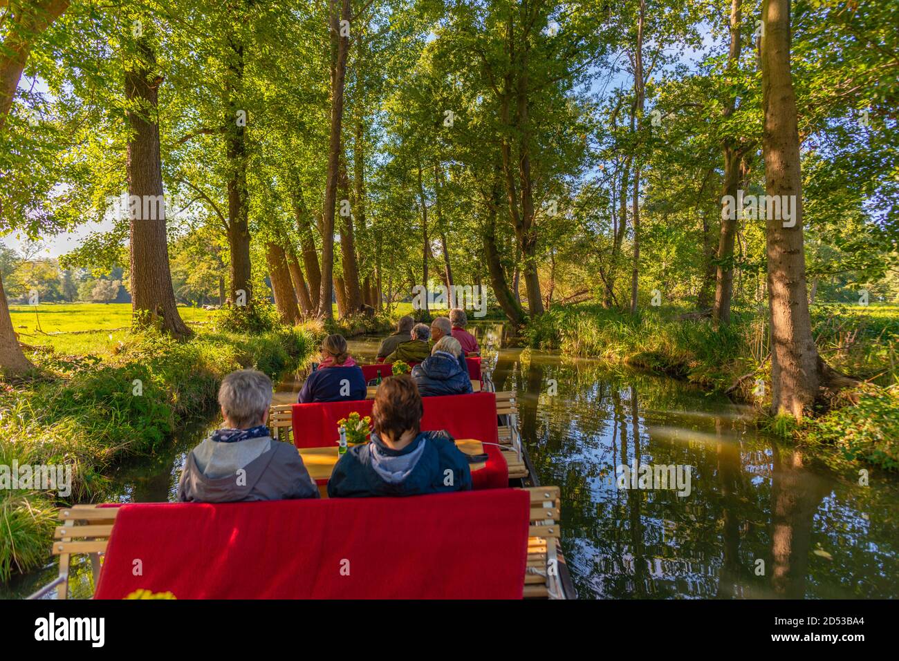 Tour in barca sui canali e sulle insenature attraverso la Spreewald o la Foresta Sprea, la comunità di Burg, il Brandeburgo, la Germania orientale, l'Europa Foto Stock