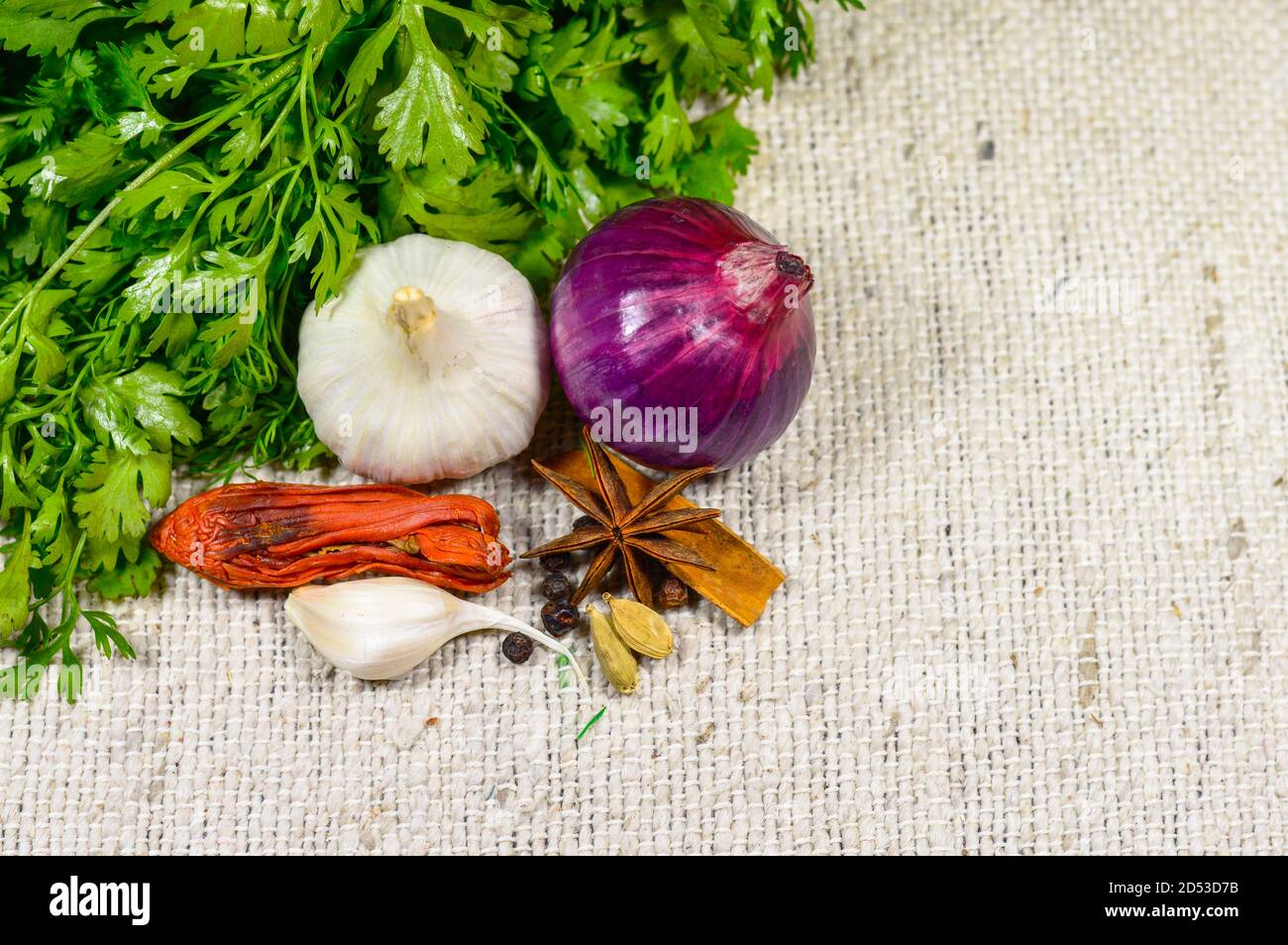 Coriandolo con cipolla, aglio e spezie indiane su un panno bianco Foto Stock