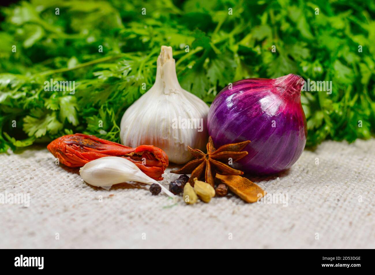 Coriandolo con cipolla, aglio e spezie indiane su un panno bianco Foto Stock