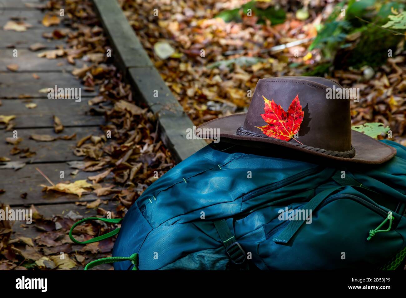 Zaino verde con cappello nel sentiero forestale Foto Stock