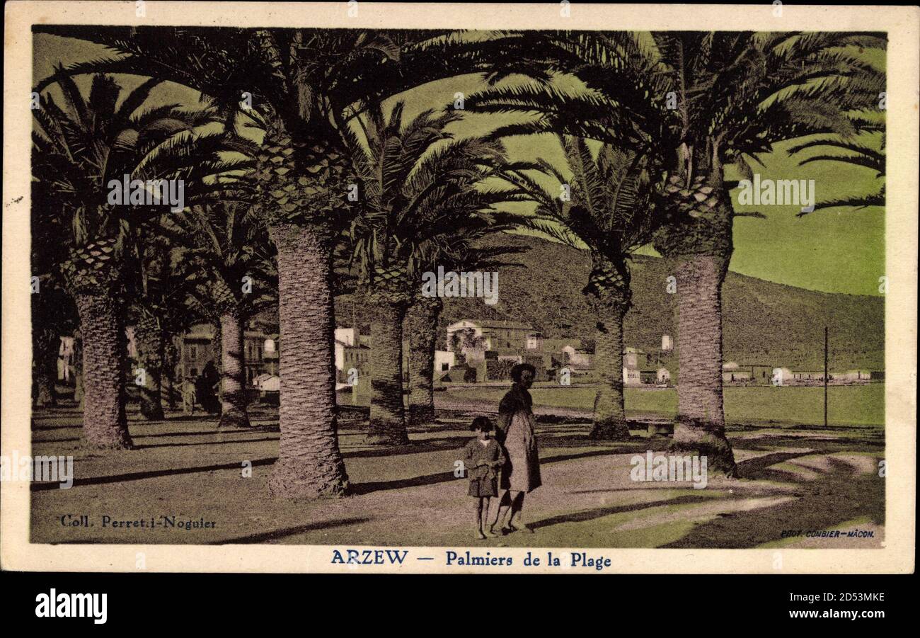 Arzew Algerien, Palmiers de la Plage, Strand, Palmen | utilizzo in tutto il mondo Foto Stock