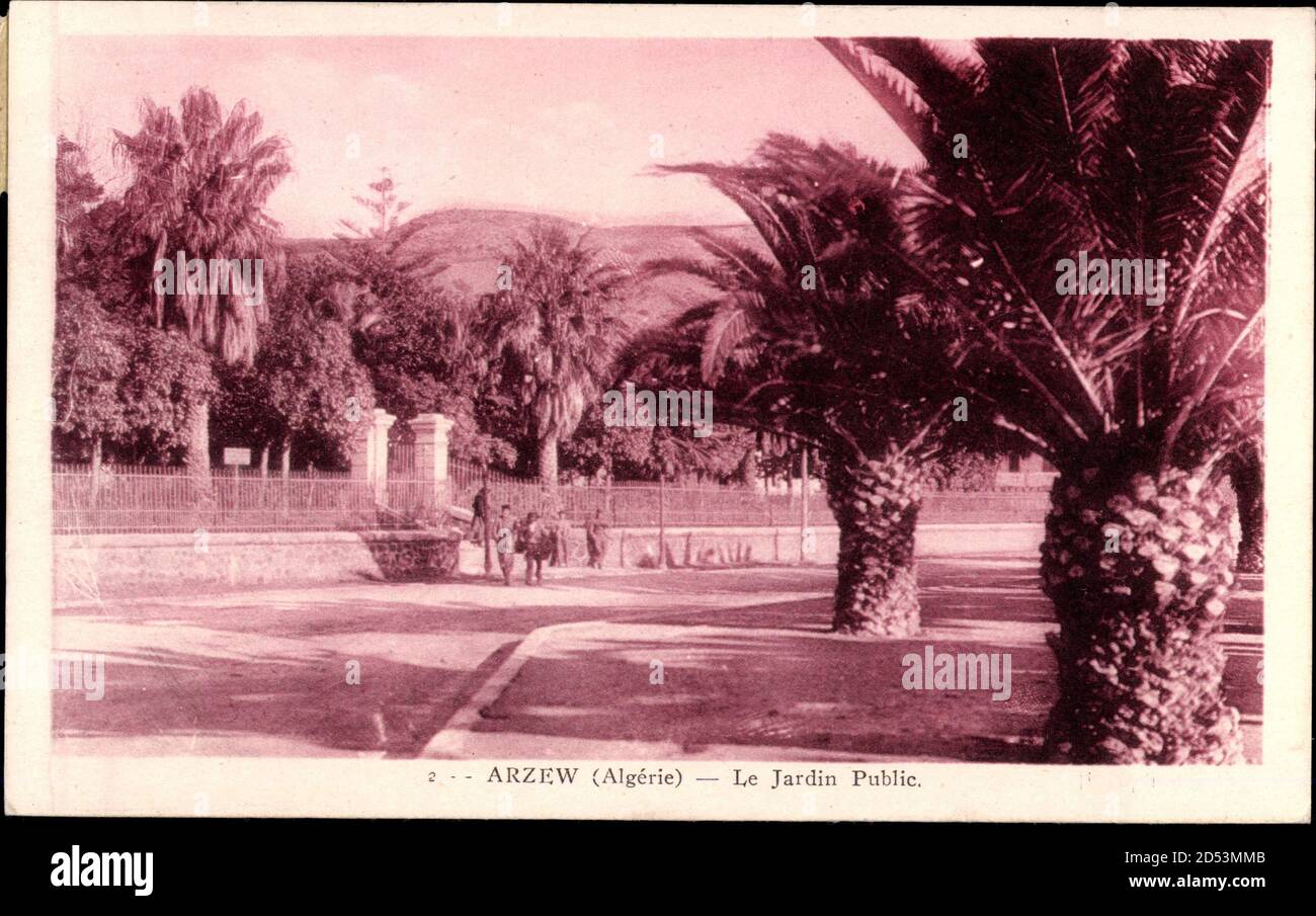 Arzew Algerien, le Jardin Public, Öffentlicher Garten, Palmen | utilizzo in tutto il mondo Foto Stock
