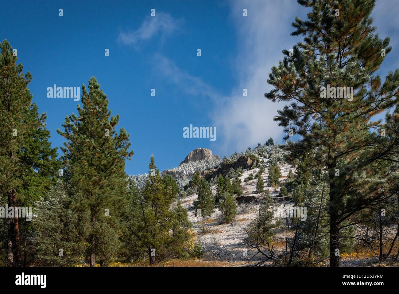 Storm Castle Peak Trail nella Custer Gallatin National Forest, Montana. STATI UNITI. Torna al concetto di natura. Foto Stock