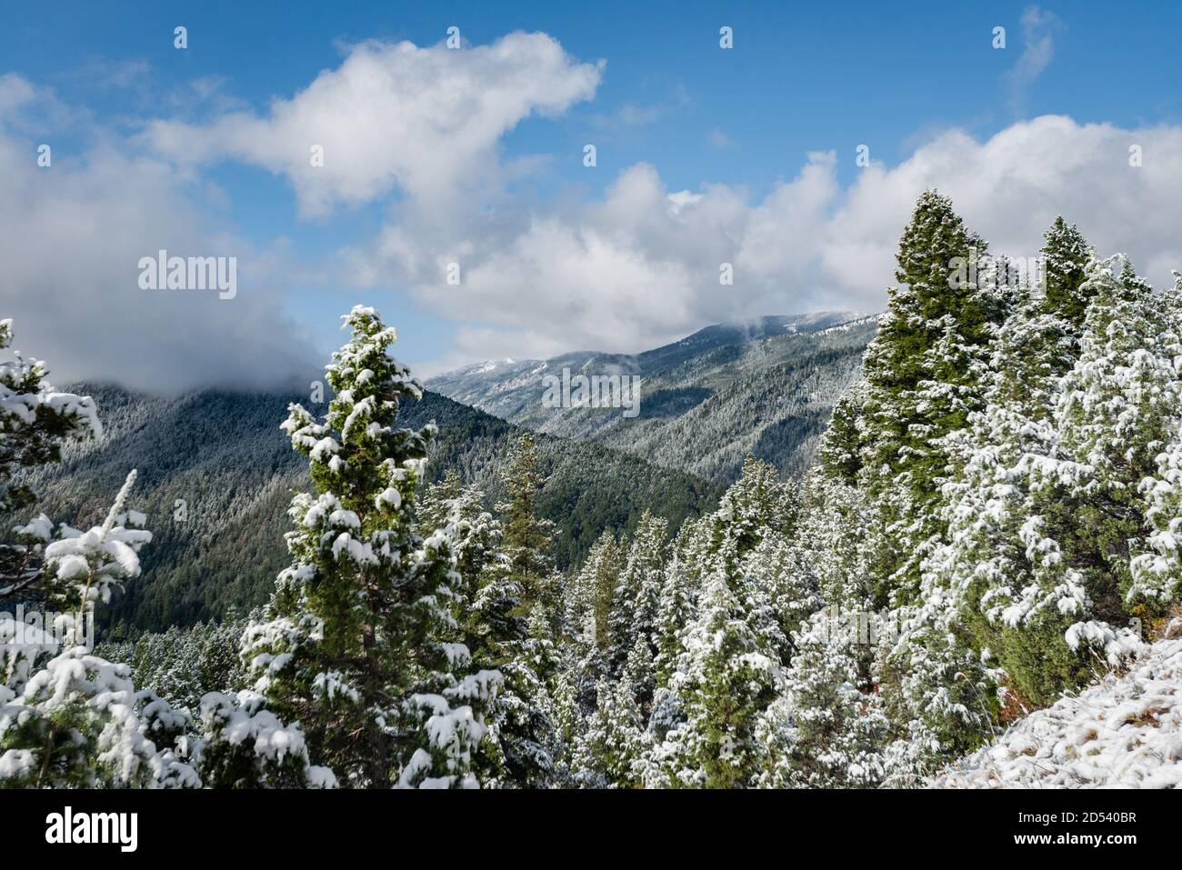 Storm Castle Peak Trail nella Custer Gallatin National Forest, Montana. STATI UNITI. Torna al concetto di natura. Foto Stock