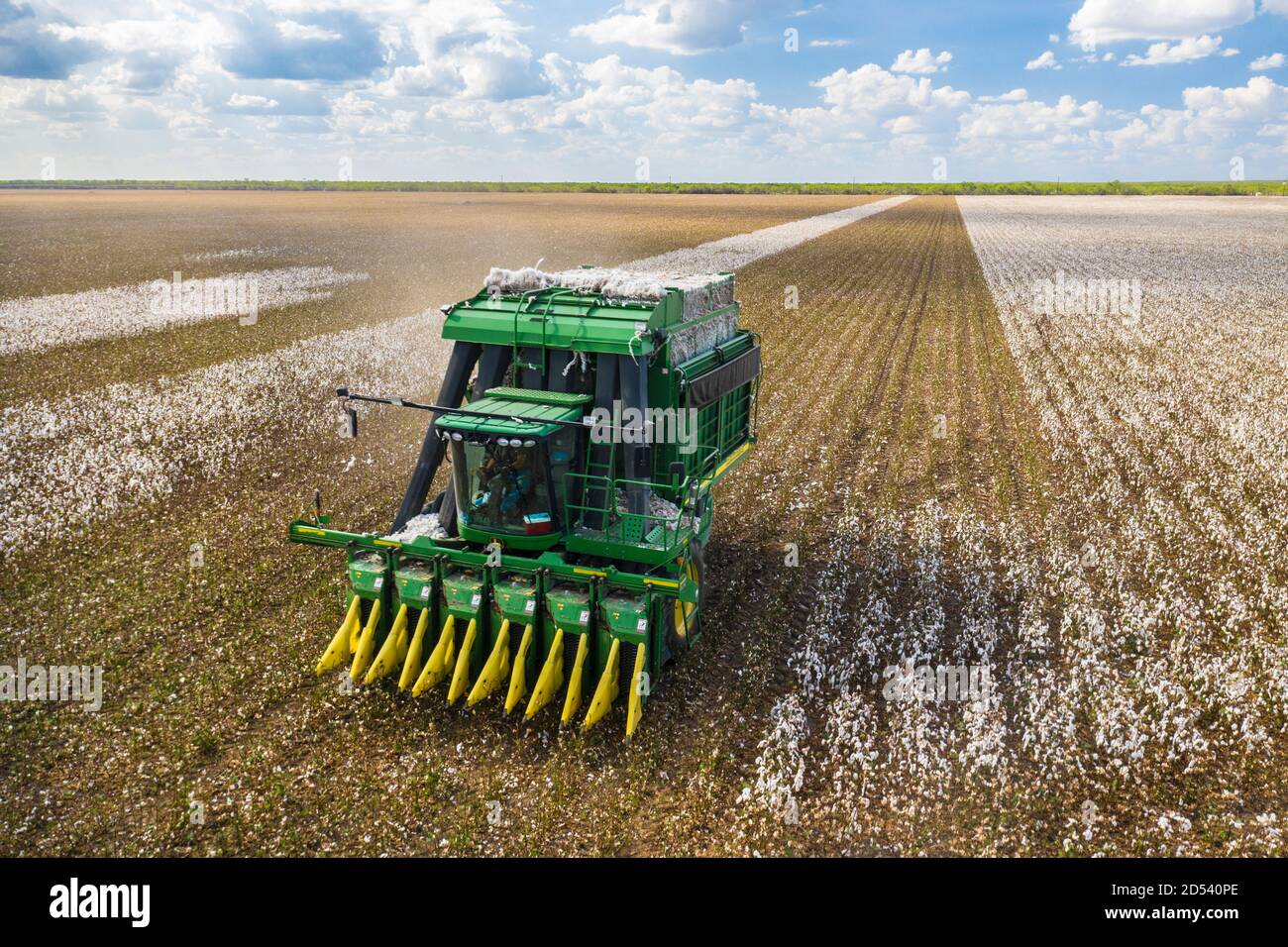 Il responsabile operativo Brandon Schirmer gestisce una raccoglitrice di cotone speciale presso la sua azienda agricola di famiglia durante la raccolta del cotone il 25 agosto 2020 a Batesville, Texas. Foto Stock