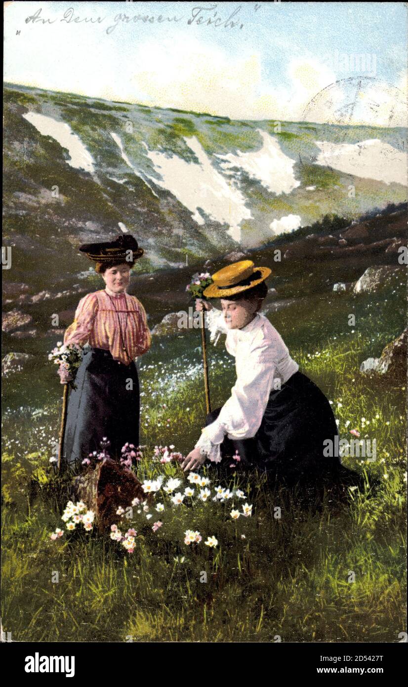 Der Frühling im Riesengebirge, an den Teichrändern, Frauen pflücken Blumen | utilizzo in tutto il mondo Foto Stock