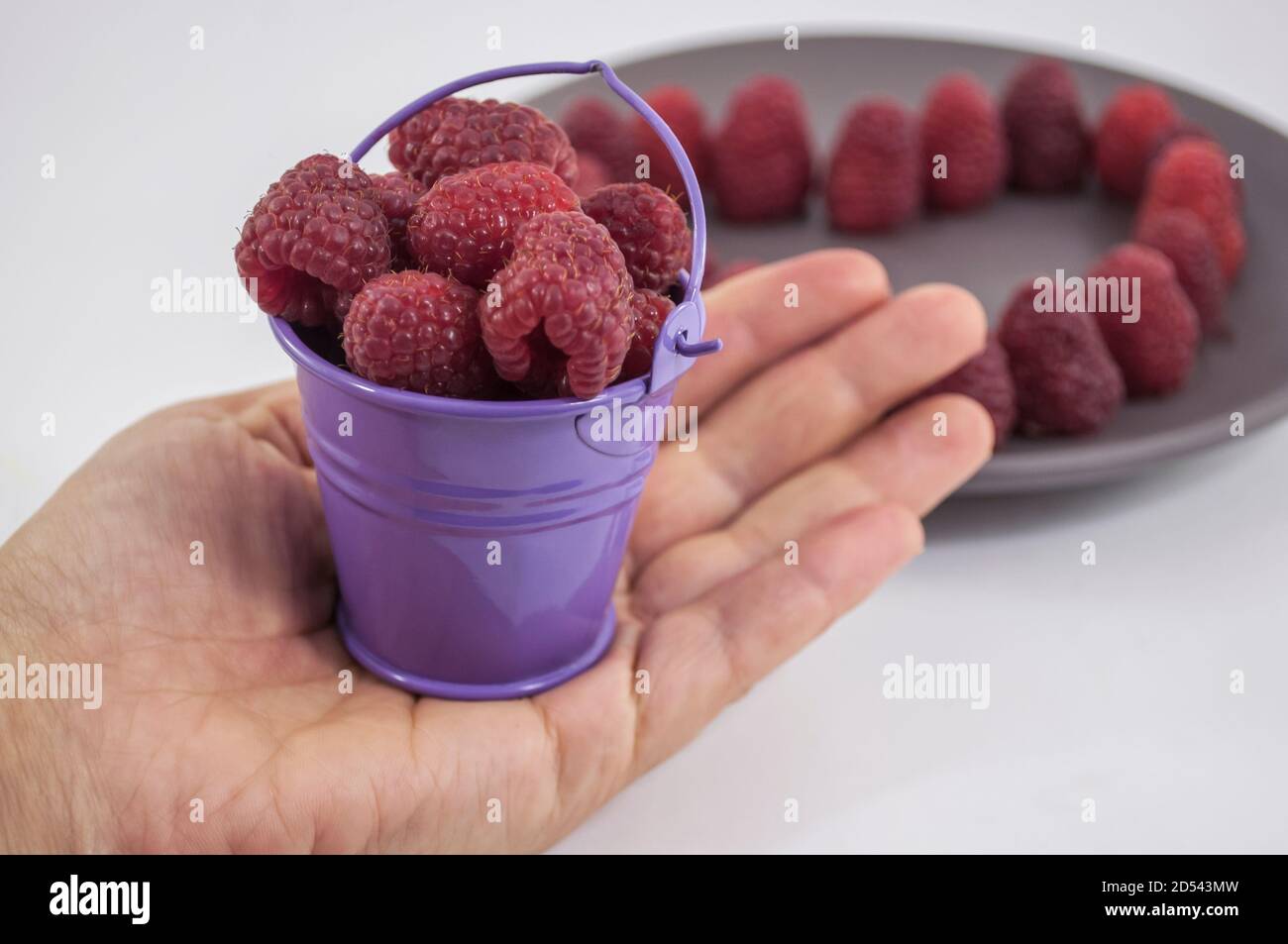 secchio piccolo con un grande lampone in palma su a. sfondo di un piatto con lamponi Foto Stock