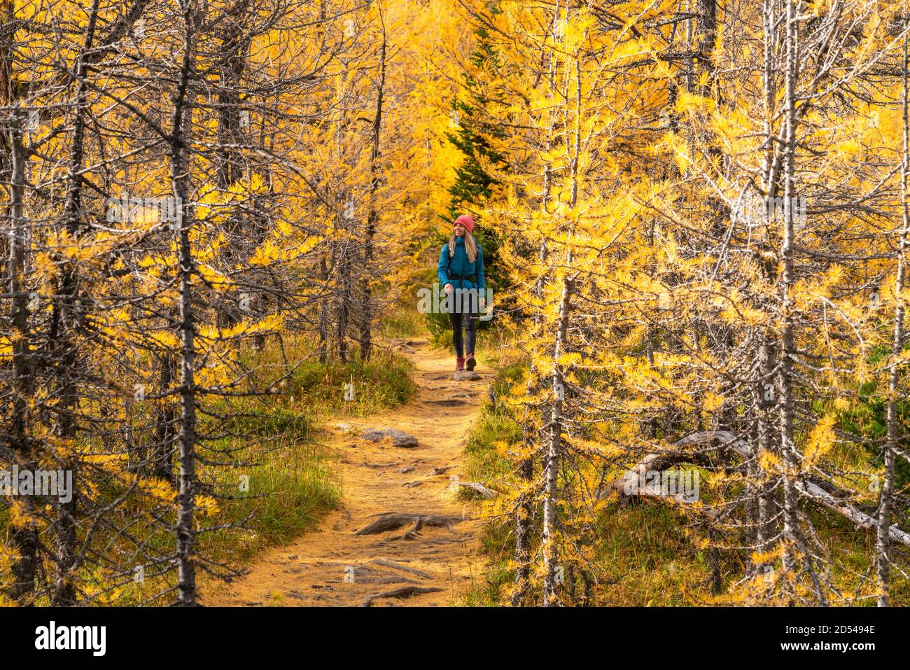 Escursioni attraverso le larve durante l'autunno nelle Montagne Rocciose canadesi Foto Stock