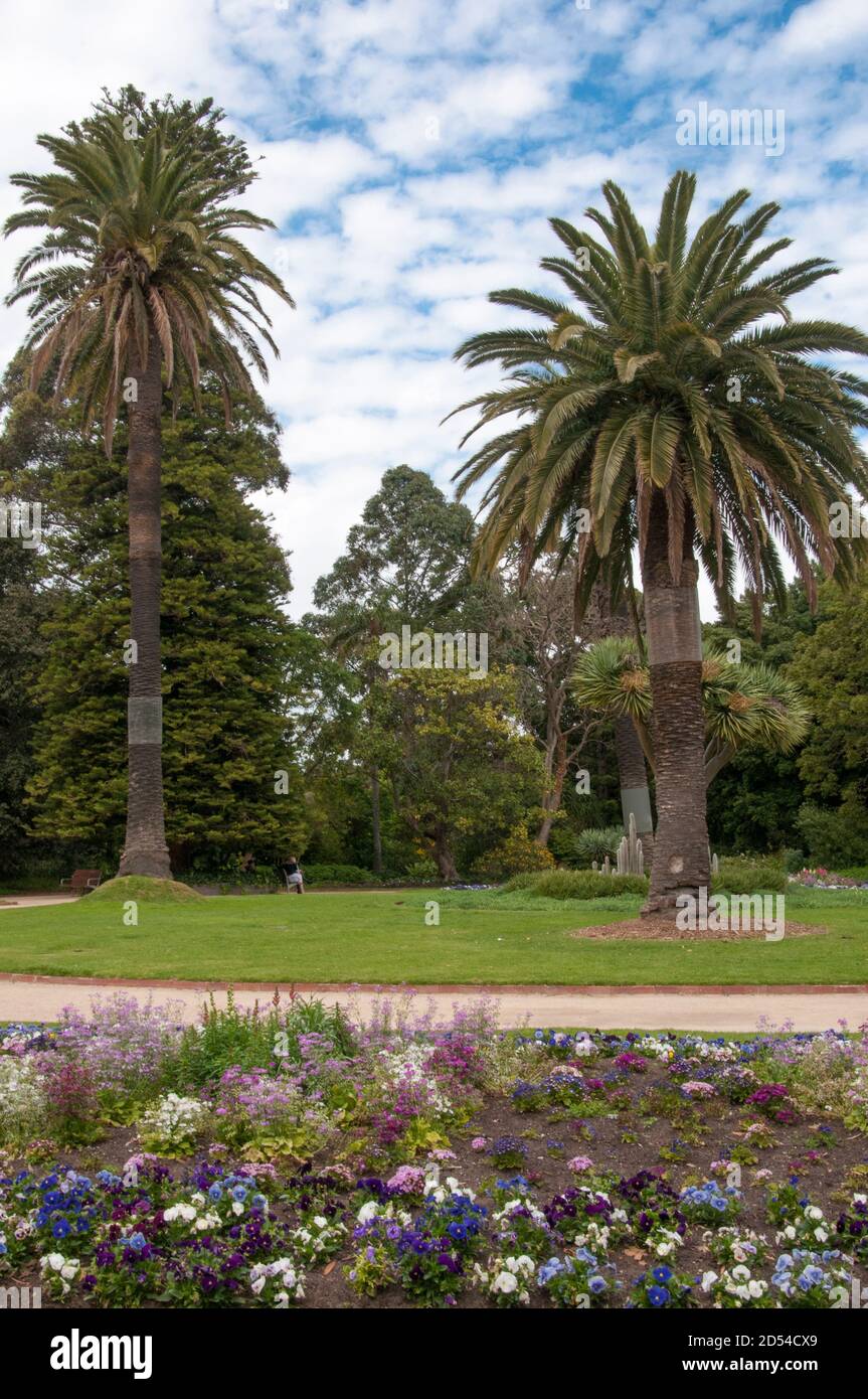 Primavera nei Giardini Botanici di St Kilda, un parco pubblico dell'epoca edoardiana a Melbourne, ottobre 2020 Foto Stock