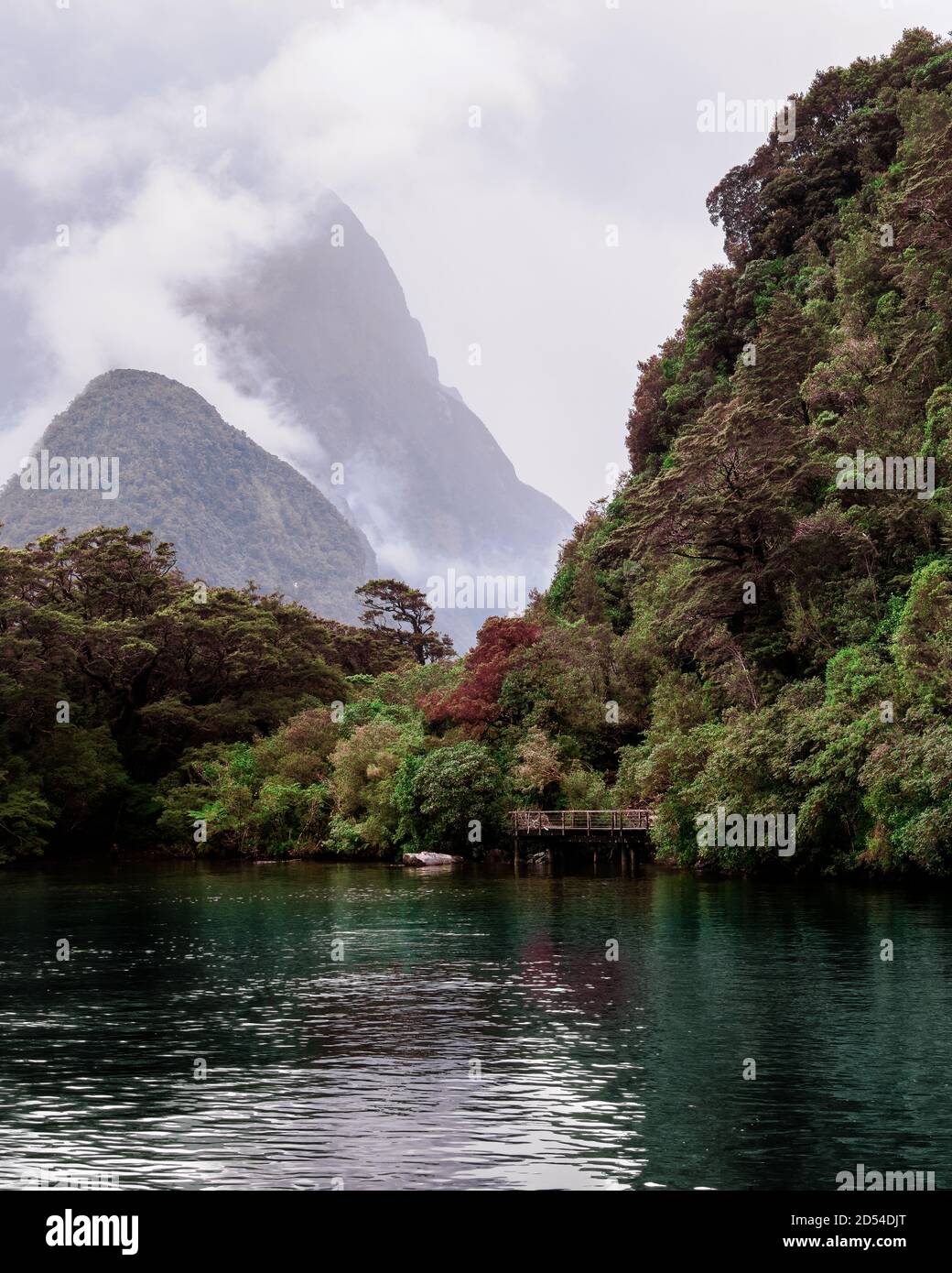 Anche se un giorno molto grigio Milford Sound in Nuova Zelanda ancora sembrava buono dalla barca. Foto Stock