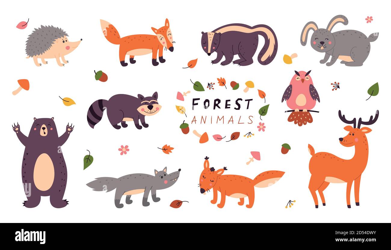 Insieme di animali carini della foresta su uno sfondo bianco isolato. Illustrazioni vettoriali per bambini Illustrazione Vettoriale