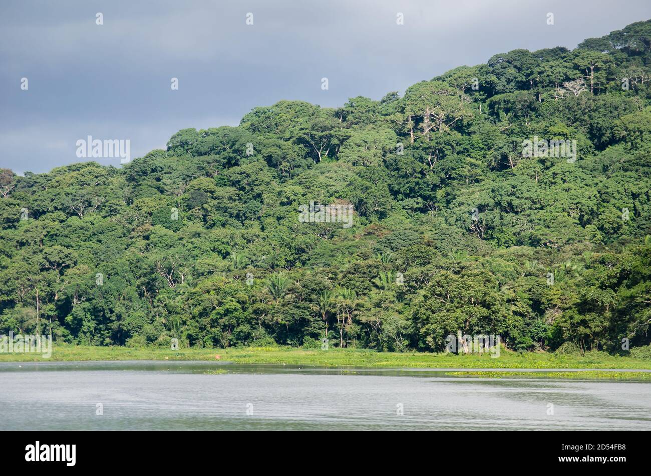 Sul Fiume Chagres e il Parco Nazionale di Soberania nella distanza Foto Stock