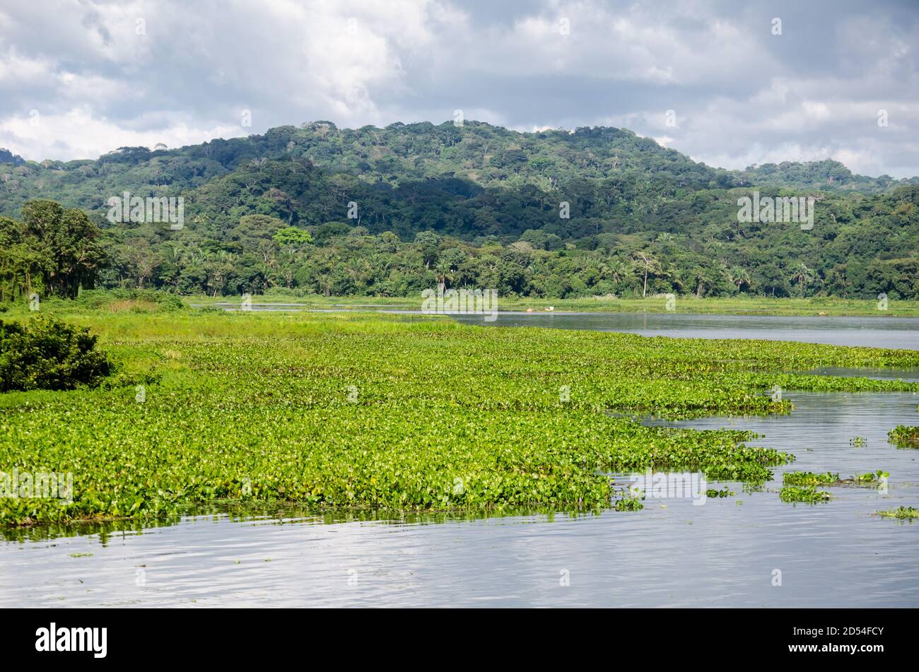 Sul Fiume Chagres e il Parco Nazionale di Soberania nella distanza Foto Stock