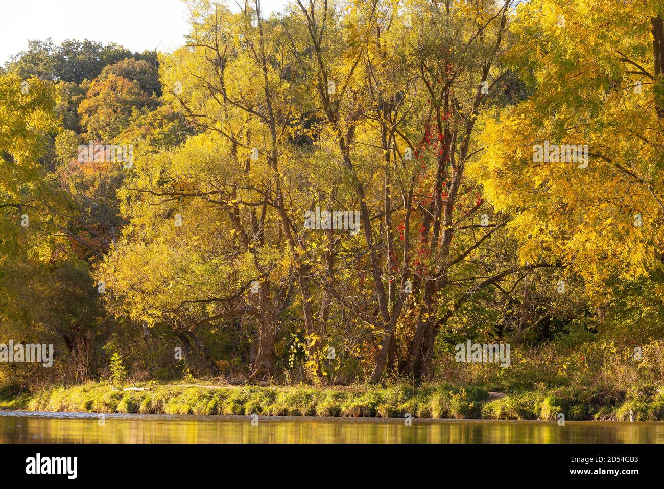 Vista panoramica sul fiume Humber nella stagione autunnale, Toronto, Ontario, Canada Foto Stock