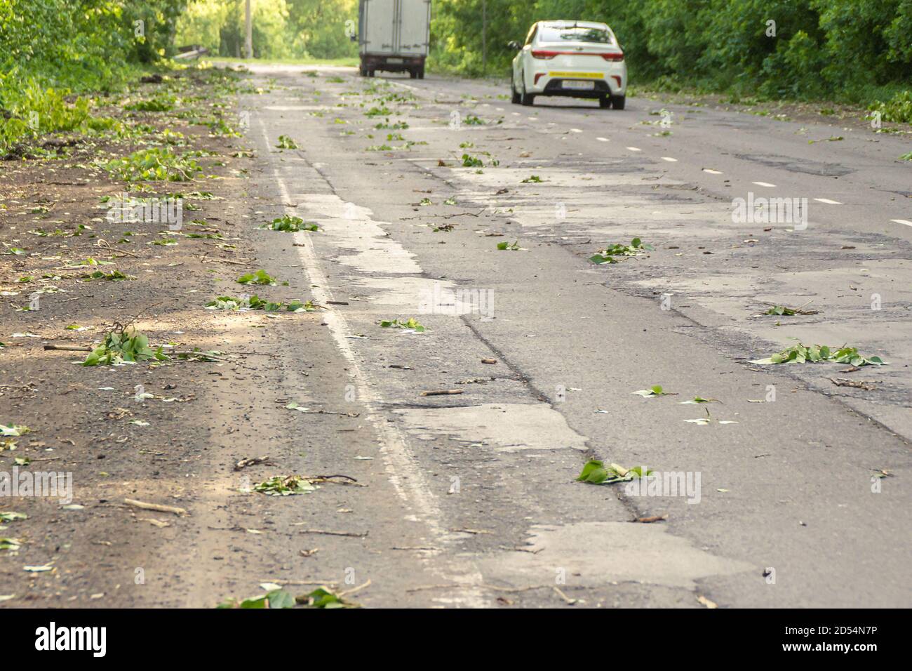 auto in movimento su una strada disseminata di rami e foglie dopo un forte vento, fuoco selettivo Foto Stock