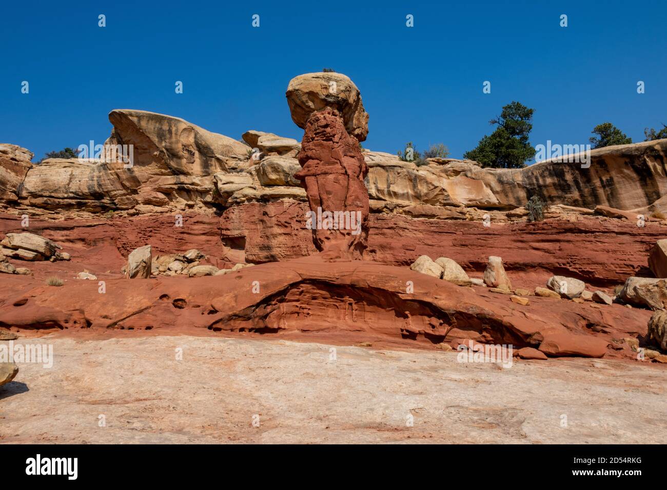 Captol Reef National Park all'alba Foto Stock