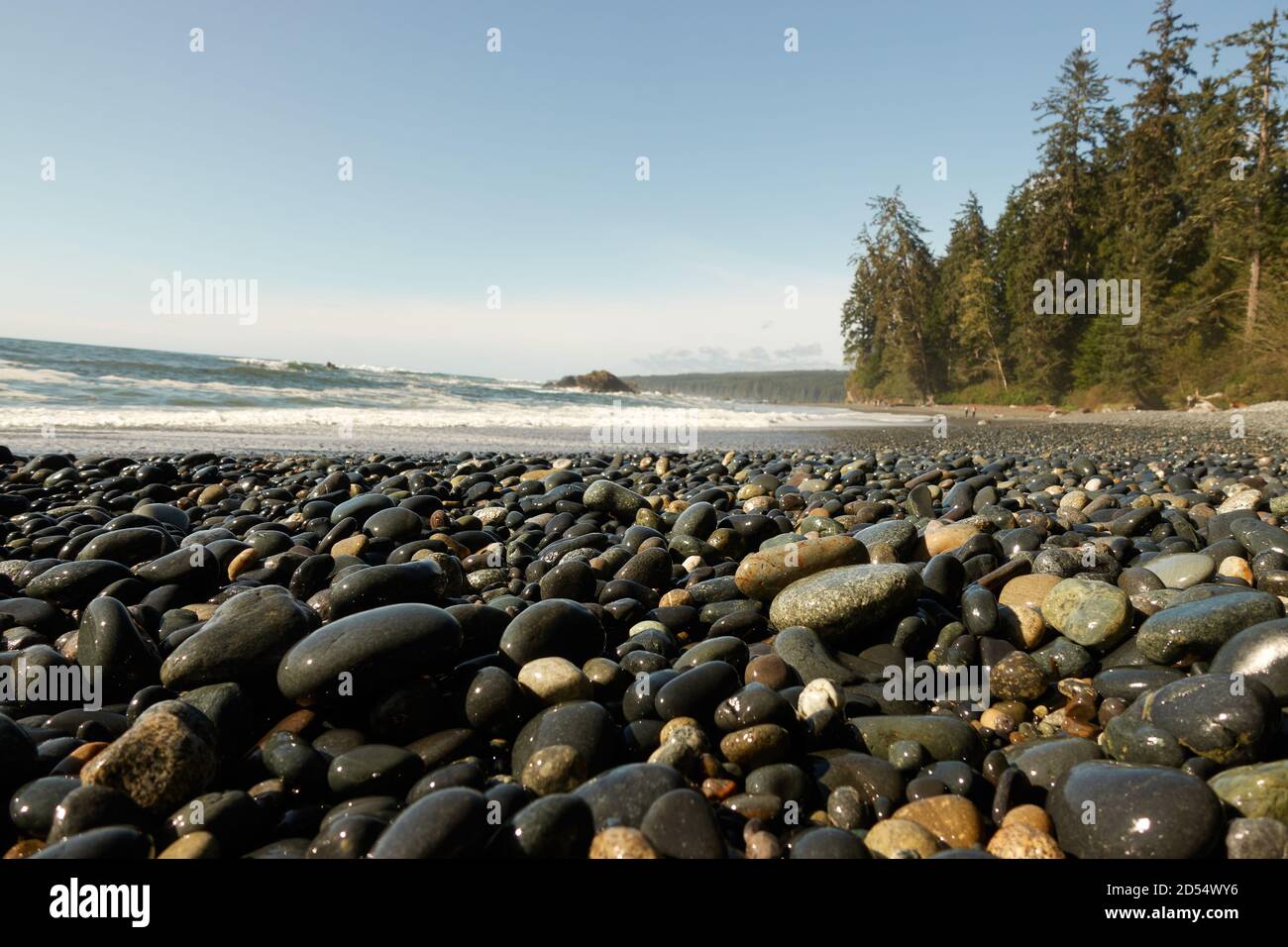 Una spiaggia della costa occidentale Foto Stock